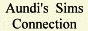 Aundi's Sim Connection